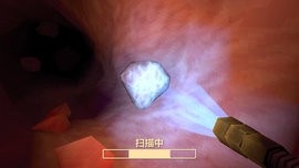 肠道检查