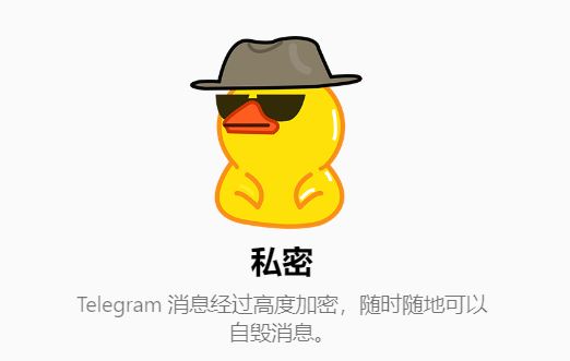 Telegeram纸飞机安卓官网版