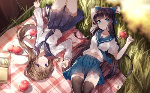 Ehviewer软件