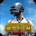 pubg绝地求生